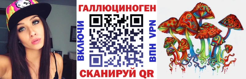 Псилоцибиновые грибы Psilocybine cubensis  Усть-Илимск 